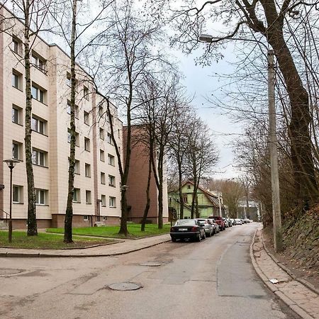 Luxury For Everyone - Hills Park Lux Apartments 3 ヴィリニュス エクステリア 写真